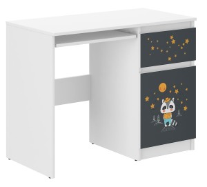 Biurko dziecięce  N-33 BORSUK